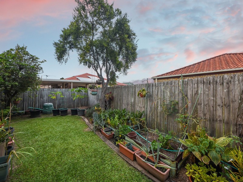 20 Rose Crescent, Fitzgibbon QLD 4018