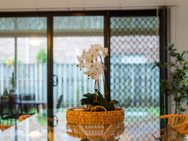 9 Oaktree Place, Bracken Ridge QLD 4017