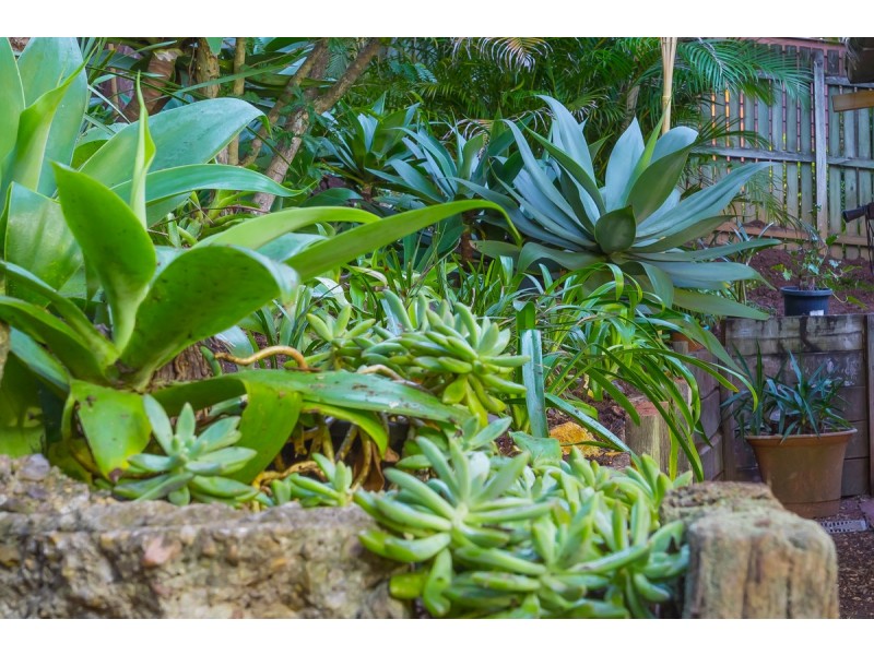 32 Ashley Road, Chermside West QLD 4032