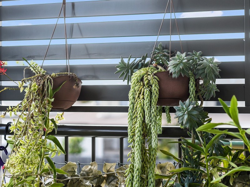 6/403 Zillmere Road, Zillmere QLD 4034