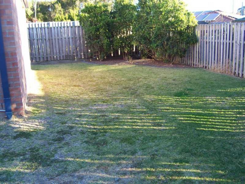 42 Denning Road, Bracken Ridge QLD 4017