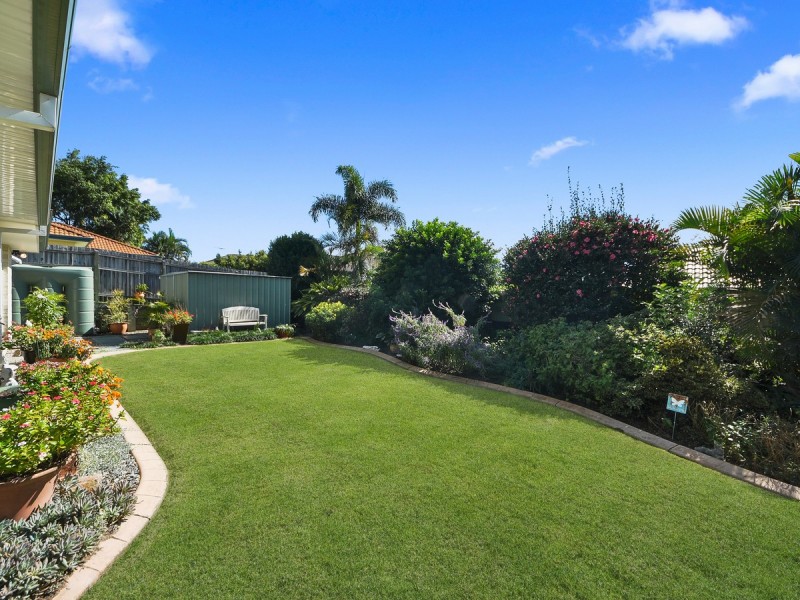 4 Maculata Court, Warner QLD 4500