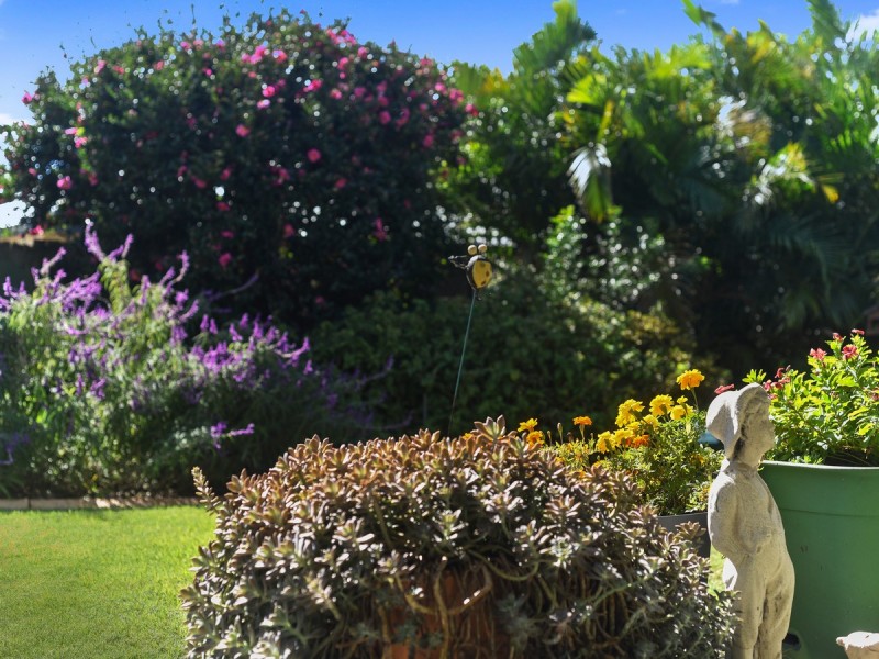 4 Maculata Court, Warner QLD 4500