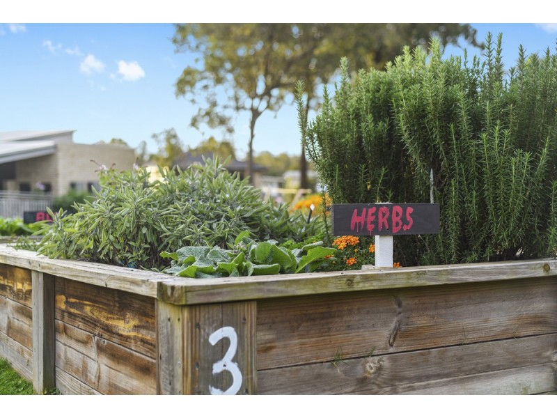 66 Mount Kaputar Avenue, Fitzgibbon QLD 4018