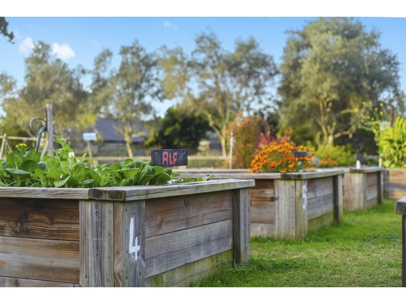 66 Mount Kaputar Avenue, Fitzgibbon QLD 4018