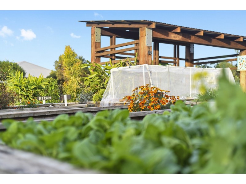 66 Mount Kaputar Avenue, Fitzgibbon QLD 4018