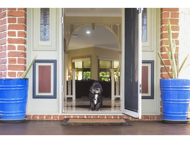 10 Ridley Road, Bridgeman Downs QLD 4035