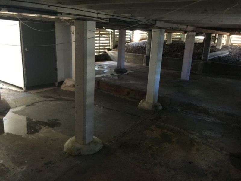 10 Ivor Street, Bracken Ridge QLD 4017