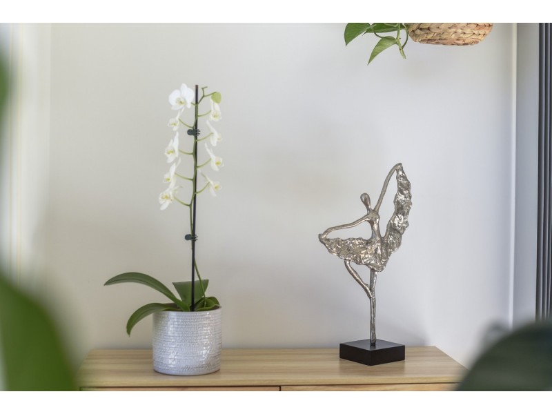 38 Kosciusko Lane, Fitzgibbon QLD 4018