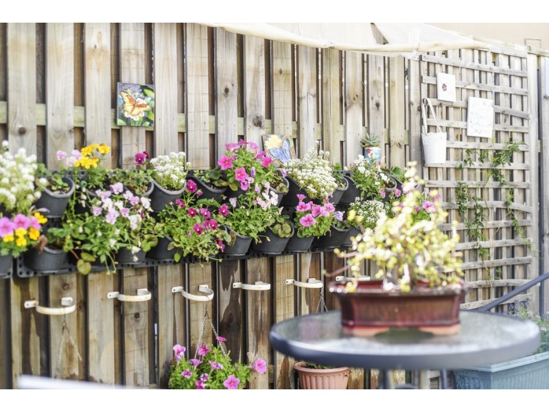 38 Kosciusko Lane, Fitzgibbon QLD 4018