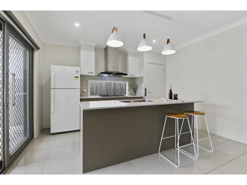 41 Hawbridge Street, Carseldine QLD 4034