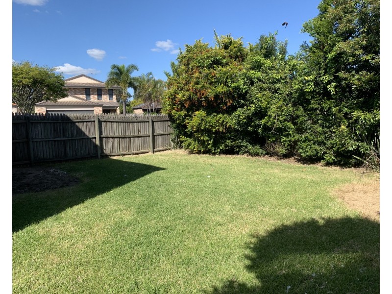 1 Leopard Tree Close, Bracken Ridge QLD 4017
