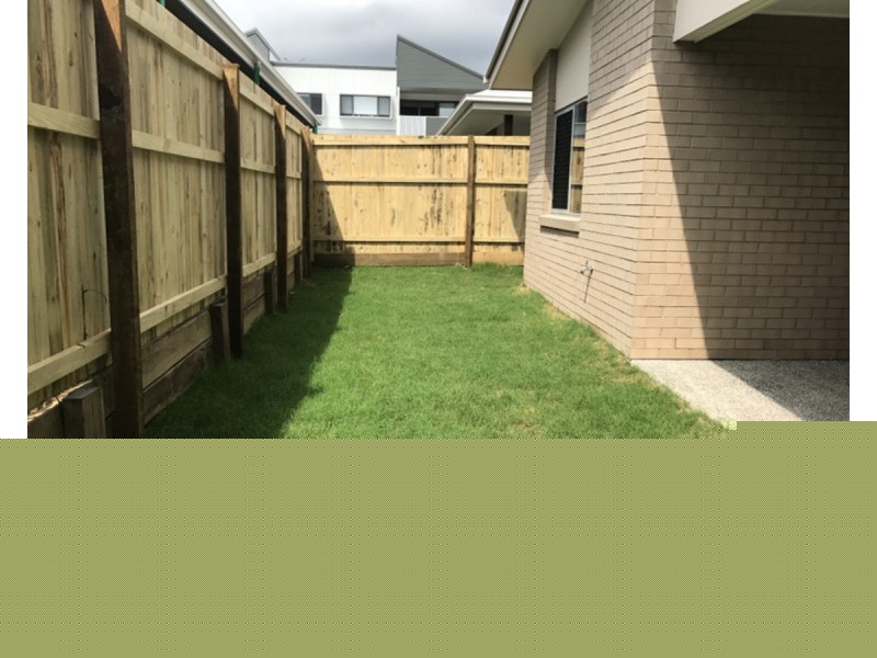 20 Sedgemoor Street, Carseldine QLD 4034