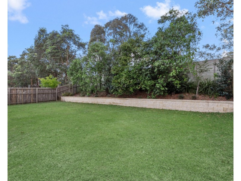46 Lillydale Street, Carseldine QLD 4034