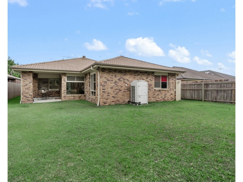 46 Lillydale Street, Carseldine QLD 4034