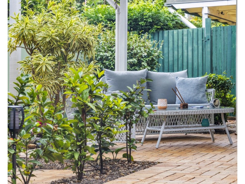 42/39 Pitta Place, Carseldine QLD 4034