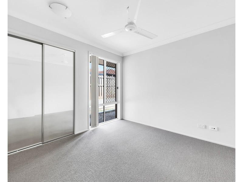 35 Macaranga Crescent, Carseldine QLD 4034