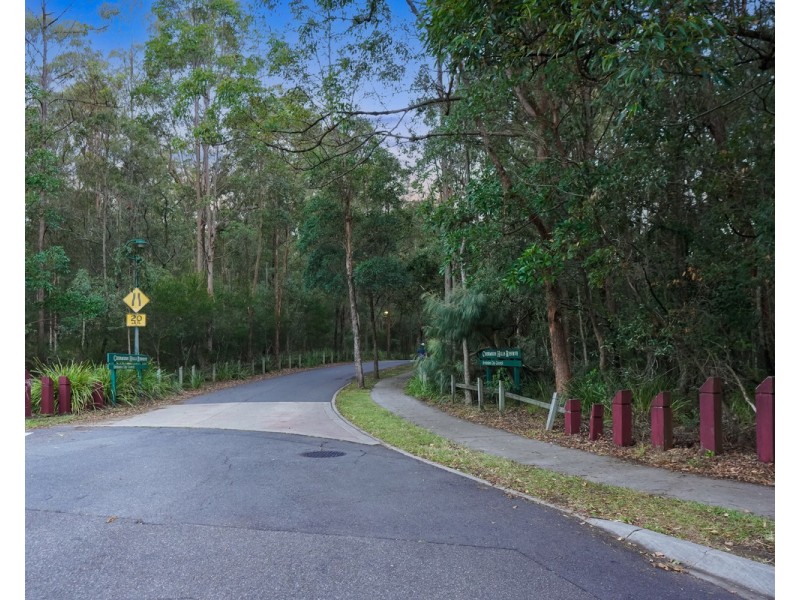 5 Dicaprio Circuit, Bridgeman Downs QLD 4035