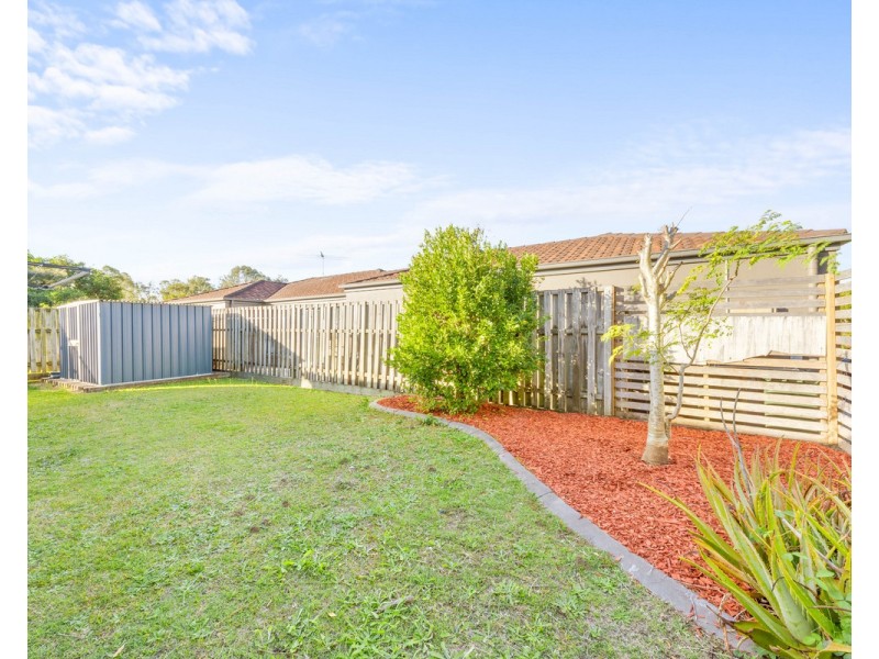 29 Macaranga Crescent, Carseldine QLD 4034
