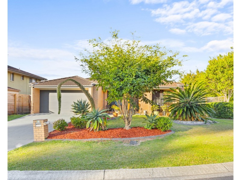 29 Macaranga Crescent, Carseldine QLD 4034