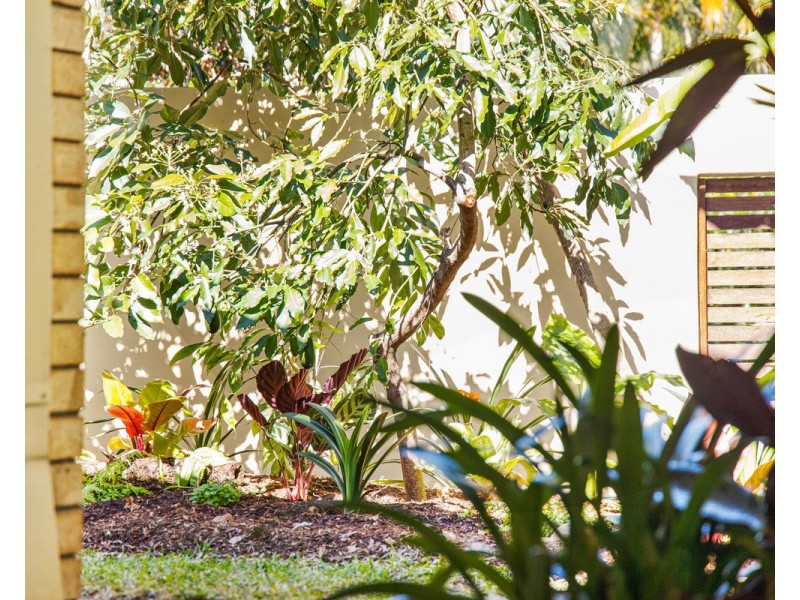 31 Kahli Place, Carseldine QLD 4034