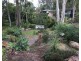 46 Tarnook Drive, Ferny Hills QLD 4055