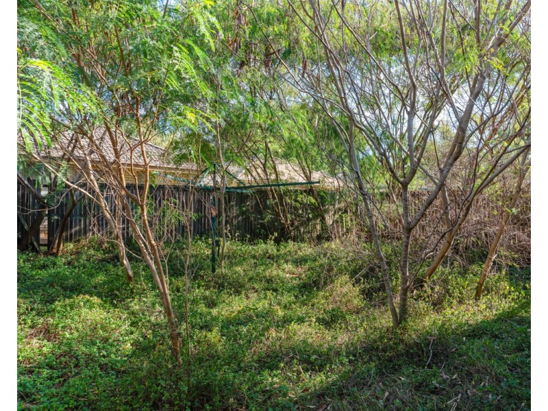 17 Chevrotain Place, Chermside West QLD 4032