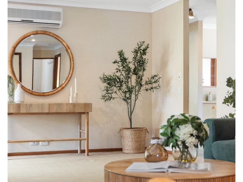 16 Dimboola Street, Bridgeman Downs QLD 4035