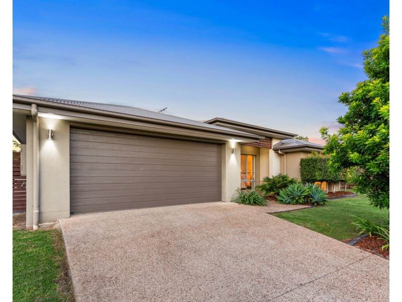19 Griffin Place, Nudgee QLD 4014