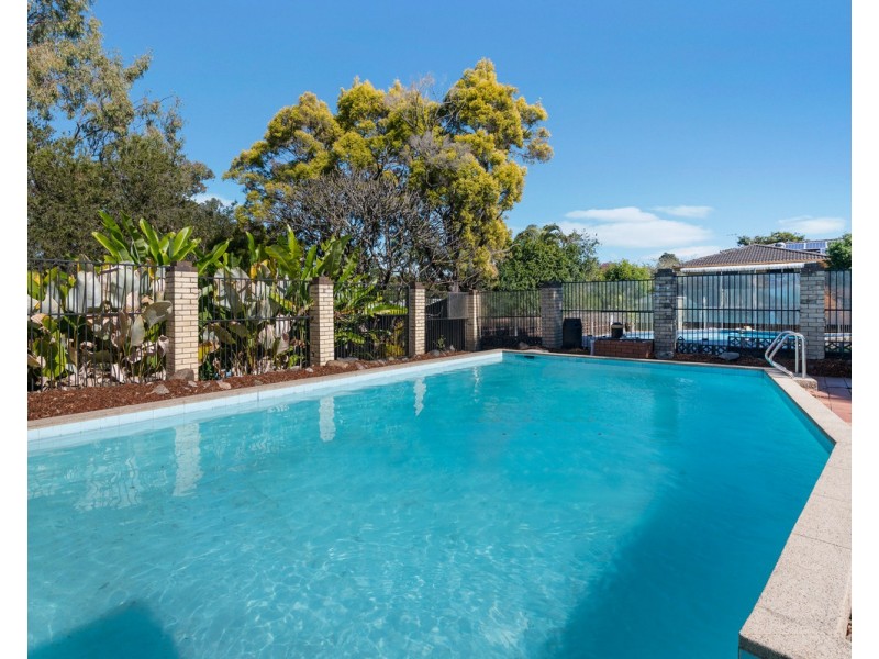 19 Tomago Street, Aspley QLD 4034