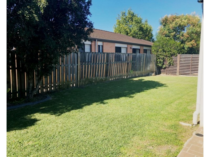 49 Cyperus Crescent, Carseldine QLD 4034