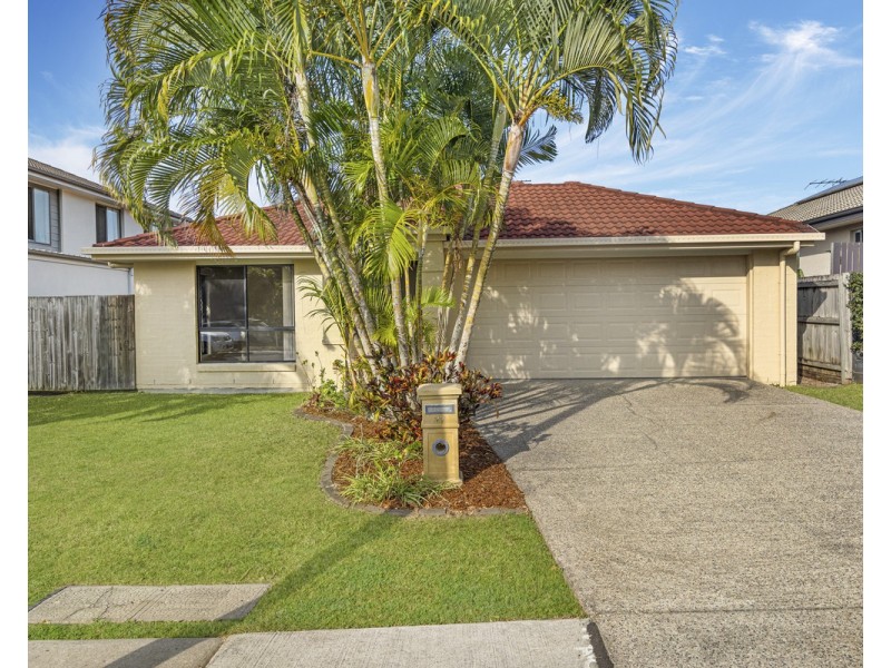 77 Cowie Road, Carseldine QLD 4034