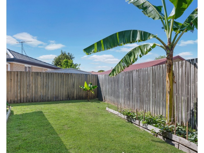 6 Hibiscus Circuit, Fitzgibbon QLD 4018
