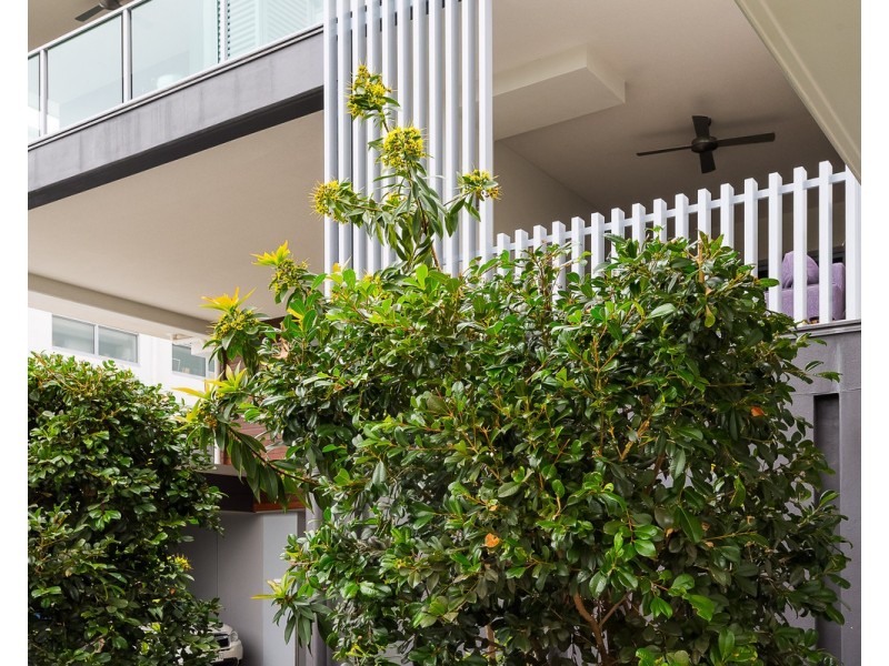 3/7 Durham Street, Coorparoo QLD 4151