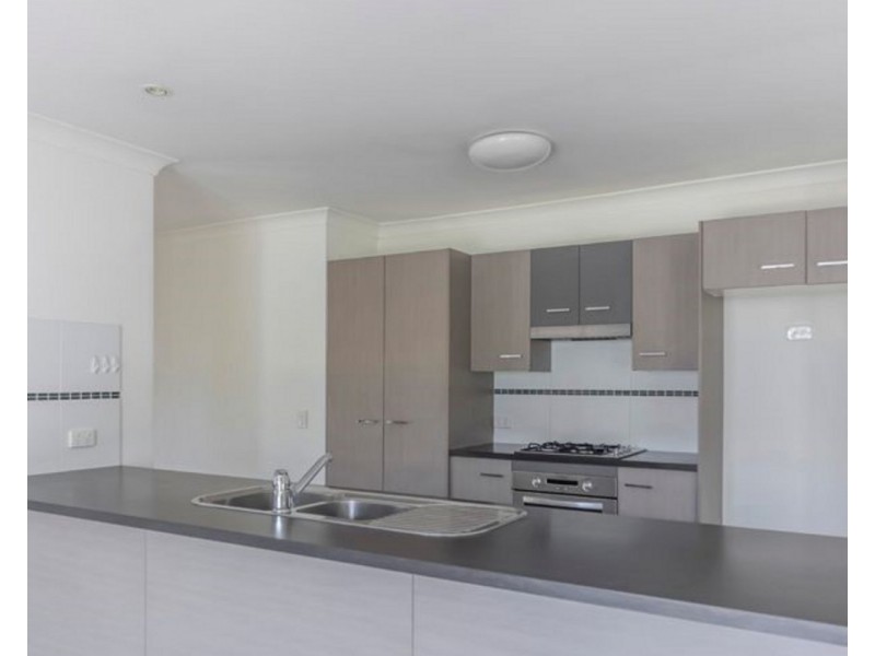 7 Melicope Place, Carseldine QLD 4034