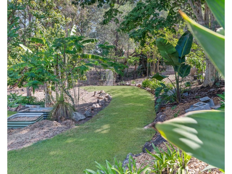 6 Plum Pine Court, Eatons Hill QLD 4037