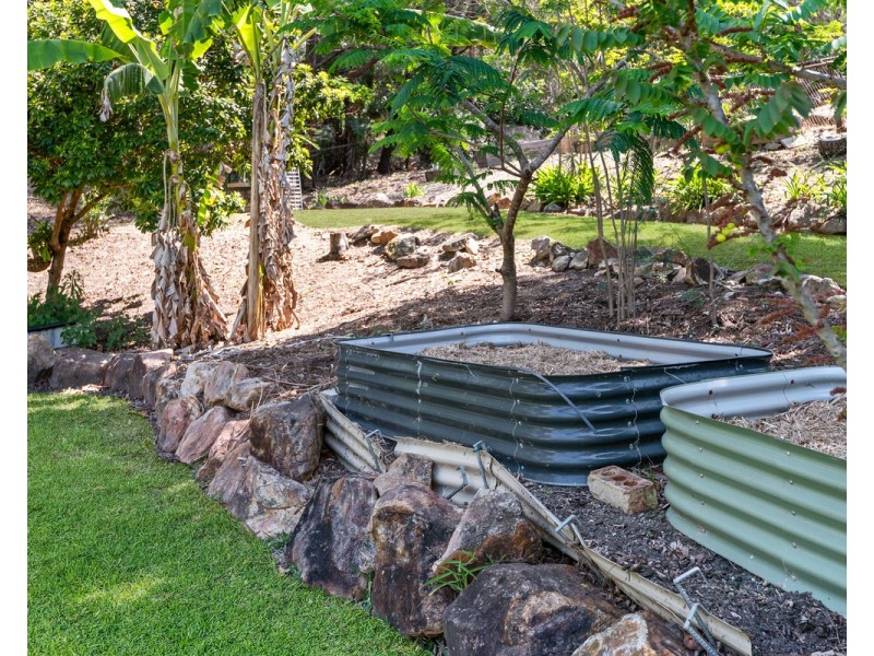 6 Plum Pine Court, Eatons Hill QLD 4037