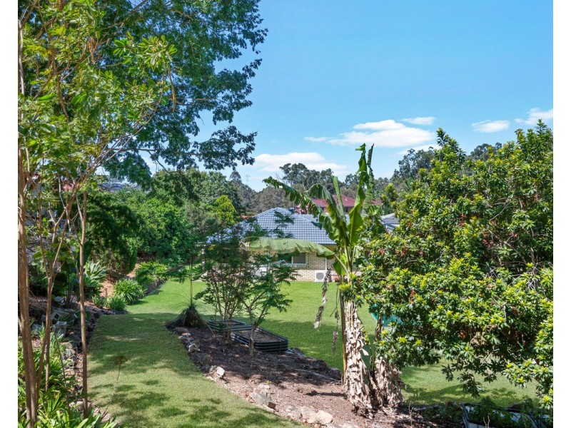 6 Plum Pine Court, Eatons Hill QLD 4037