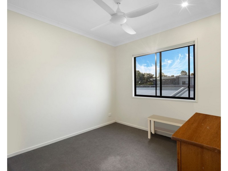 36 Angophora Street, Carseldine QLD 4034