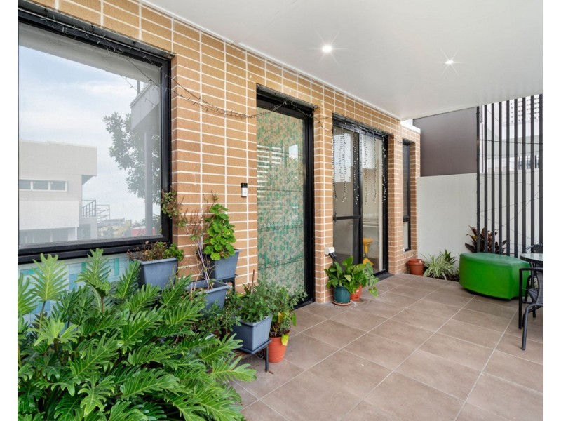 36 Angophora Street, Carseldine QLD 4034