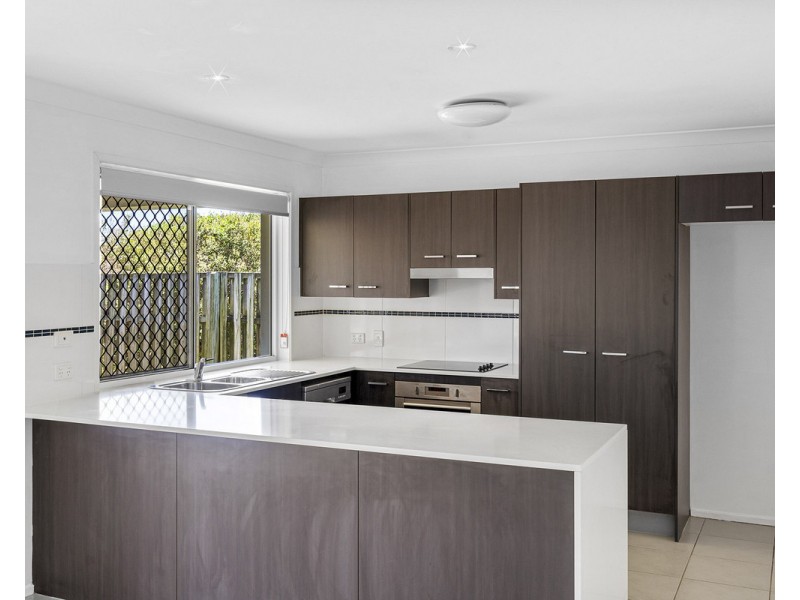 38 Conlan Street, Nudgee QLD 4014