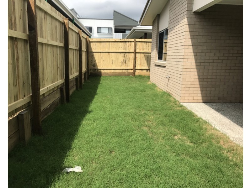 20 Sedgemoor Street, Carseldine QLD 4034