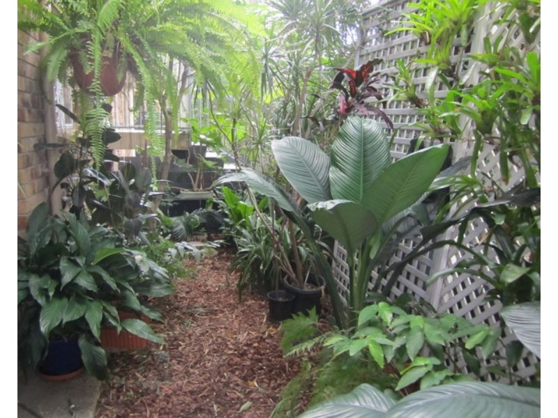 1/161 Allen Street, Hamilton QLD 4007