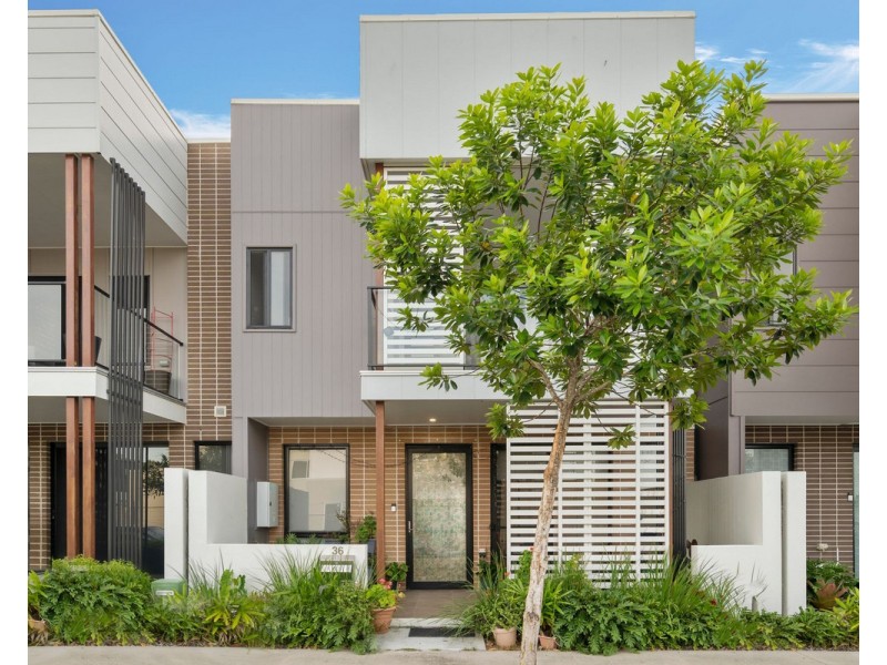 36 Angophora Street, Carseldine QLD 4034