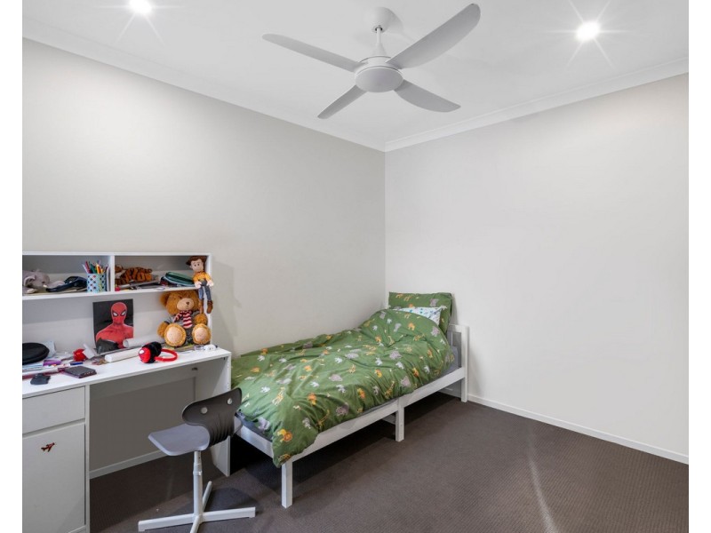 36 Angophora Street, Carseldine QLD 4034