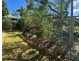 Unit 5/10 Brown Street, Windsor QLD 4030