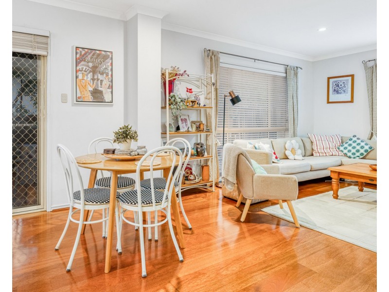 36 Elliot Street, Carseldine QLD 4034