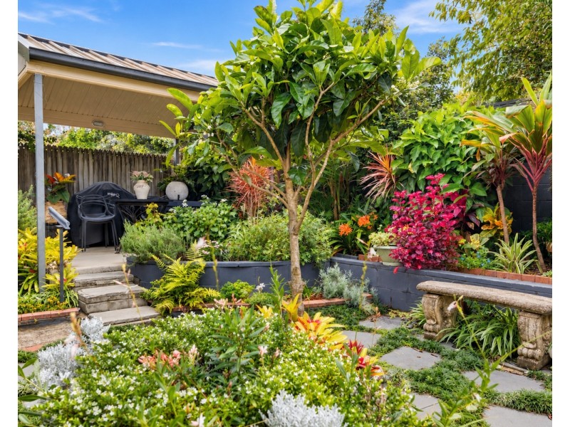 14/15 Pitta Place, Carseldine QLD 4034