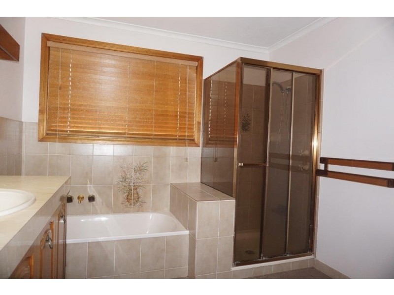 14 Jeannette Avenue, Springwood QLD 4127