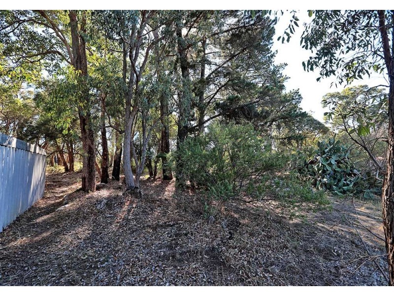 19 Hovea Crescent, Walliston WA 6076